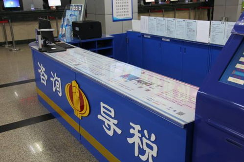樹新風重實效，踐行“六零”服務承諾——道里區國稅局首創多功能導稅咨詢臺引領知識產權服務新篇章