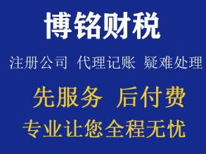 代理記賬與稅務(wù)咨詢 助力內(nèi)資小規(guī)模企業(yè)高效運(yùn)營(yíng)